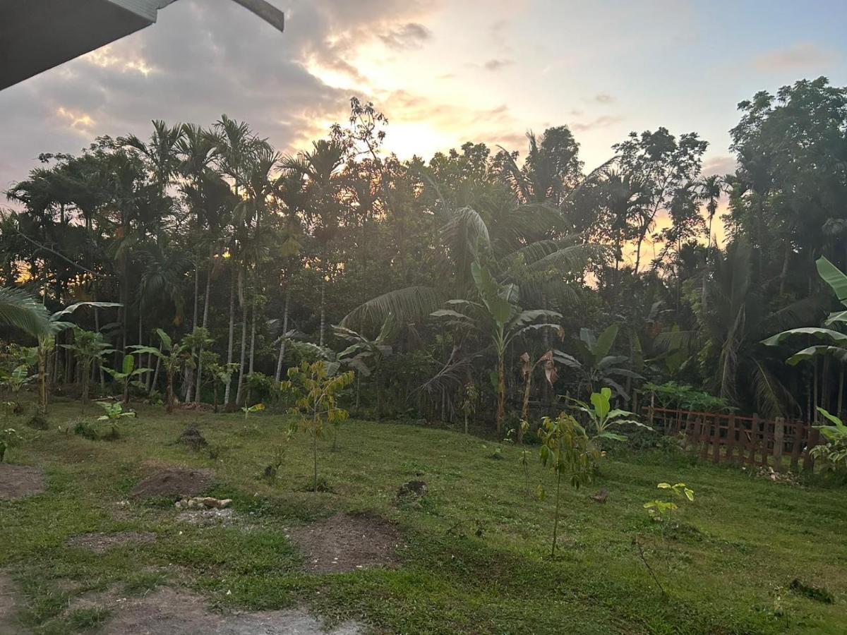 Senaru Garden Homestay Buitenkant foto